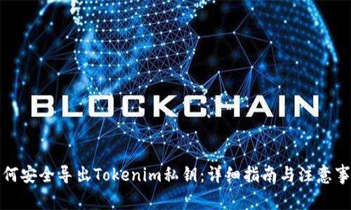 如何安全导出Tokenim私钥：详细指南与注意事项