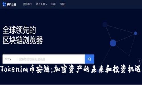 Tokenim币安链：加密资产的未来和投资机遇