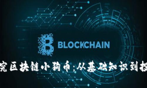 深入探究区块链小狗币：从基础知识到投资机会