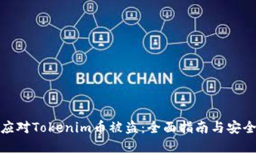 如何应对Tokenim币被盗：全面指南与安全建议